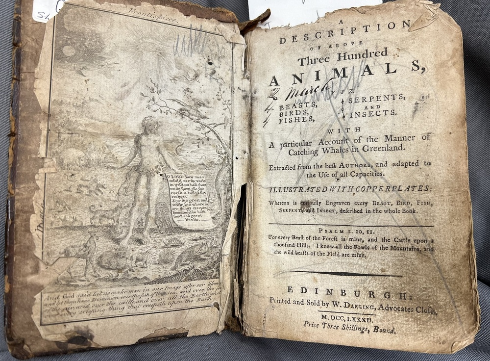 'Steal not this book for fear of shame': a hidden gem in the Stationers' collections